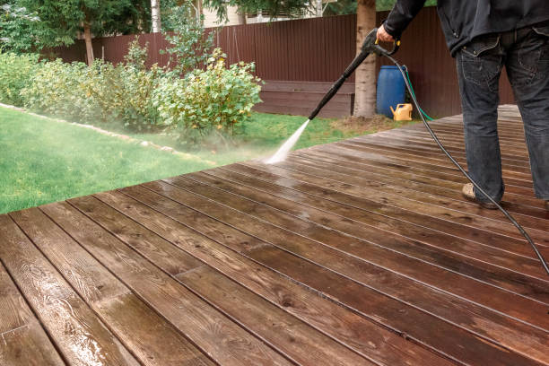 Best Sidewalk and Walkway Cleaning  in East Lake, FL