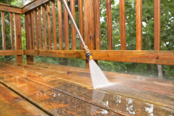 Best Residential Exterior Washing  in East Lake, FL